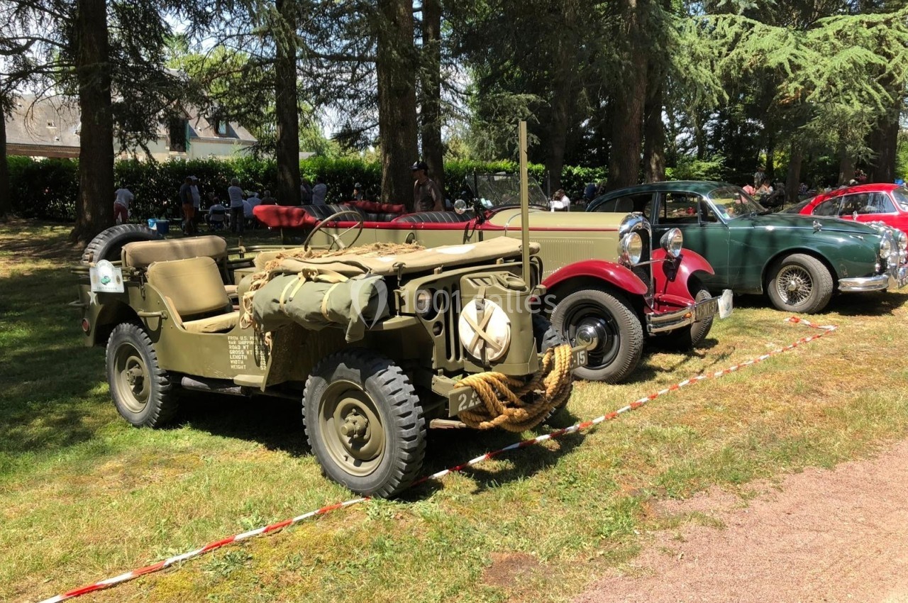 Trois voitures anciennes, dont une jeep militaire, exposées en extérieur sur une pelouse bordée d'arbres.