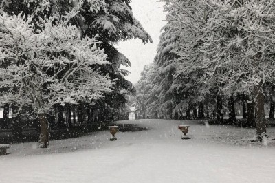 Château en briques rouges entouré de pelouses et d'arbres, sous un ciel clair et ensoleillé.