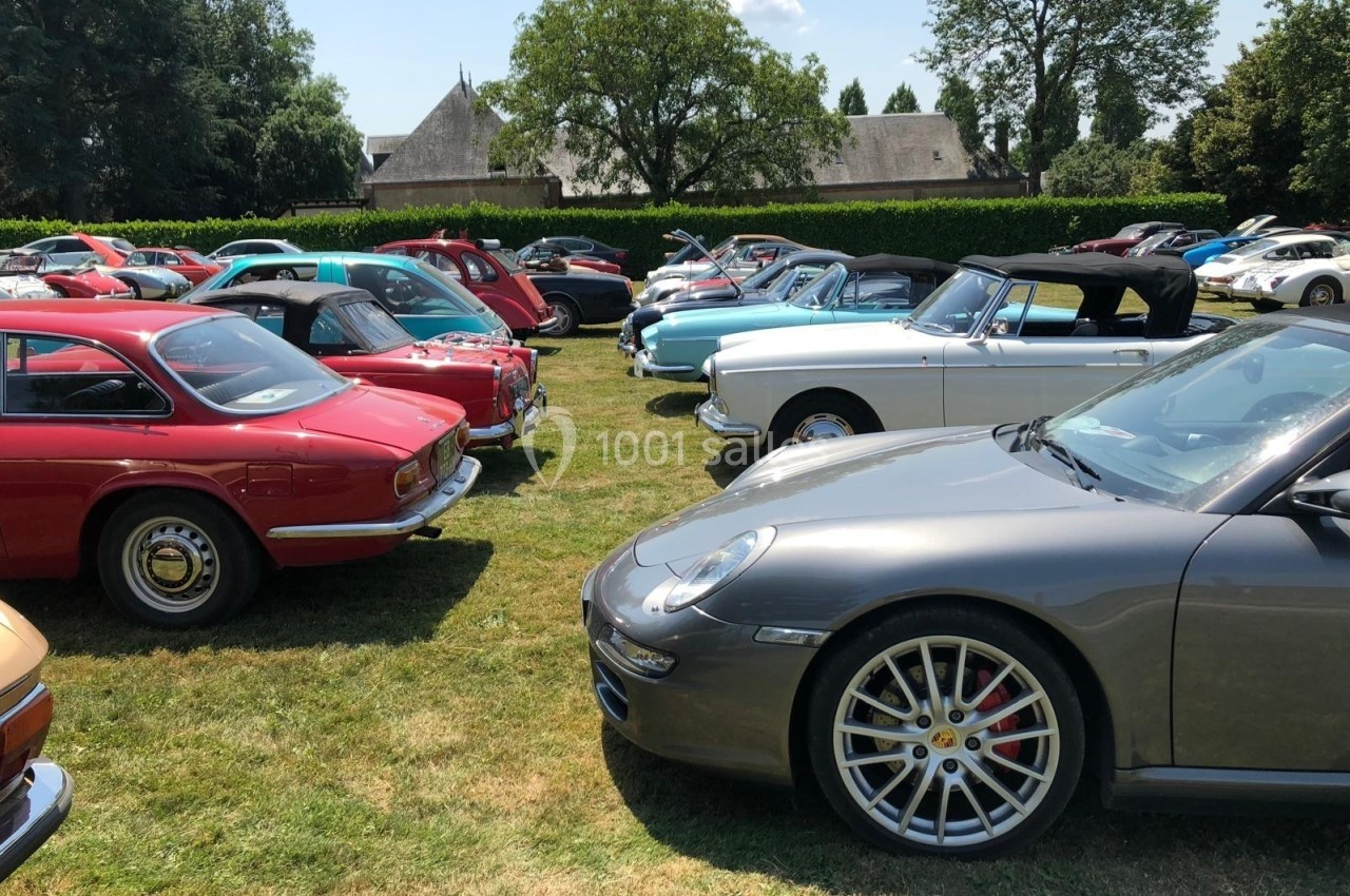 Rassemblement de voitures anciennes et modernes garées sur une pelouse par une journée ensoleillée.