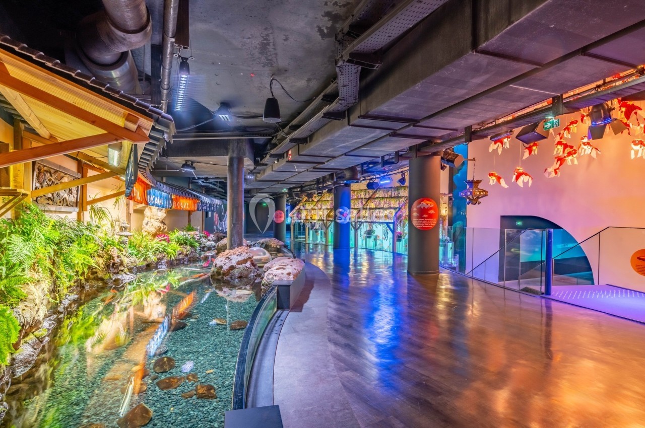 Vue intérieure d'un aquarium avec un bassin d'eau, des plantes, des rochers et des décorations lumineuses au plafond.