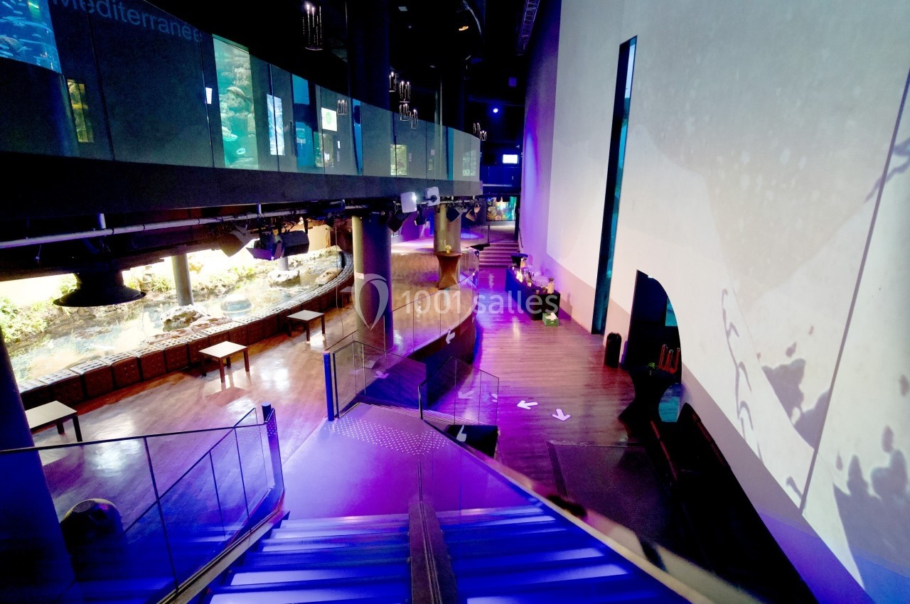 Vue intérieure d'un espace muséal moderne avec des aquariums éclairés, des escaliers et un éclairage tamisé.