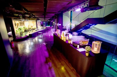Tunnel d'aquarium avec un grand bassin à droite, éclairages colorés et écran lumineux sur le mur gauche.