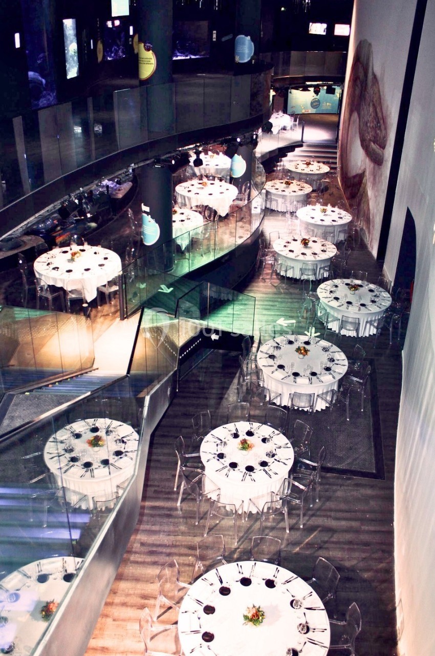 Salle moderne avec des tables rondes dressées pour un événement, entourées de chaises transparentes et éclairées par une…