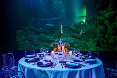 Tunnel d'aquarium avec un grand bassin à droite, éclairages colorés et écran lumineux sur le mur gauche.