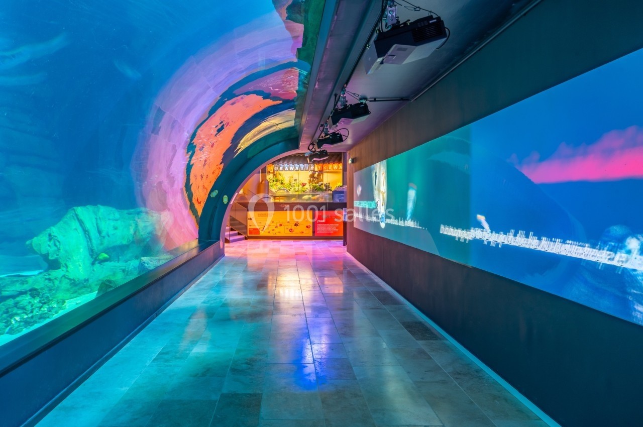 Tunnel d'aquarium avec parois vitrées illuminées, menant à une zone d'exposition lumineuse au fond.