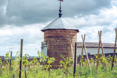 Façade en pierre éclairée d'une bâtisse ancienne avec une enseigne lumineuse, vue de nuit.