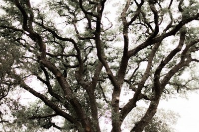Façade d'un bâtiment en pierre éclairée la nuit, entourée de végétation sombre.