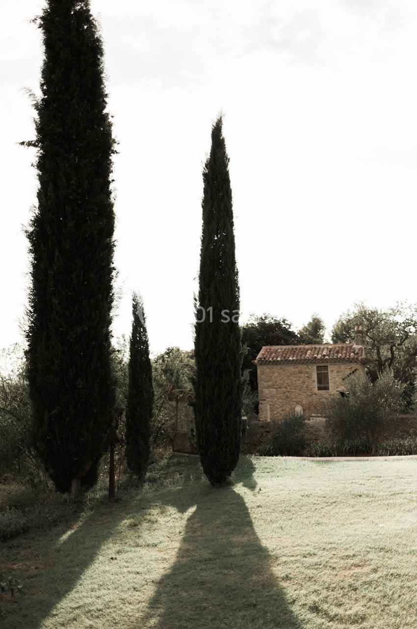 Cyprès élancés projetant leurs ombres sur une pelouse, avec une petite maison en pierre en arrière-plan.