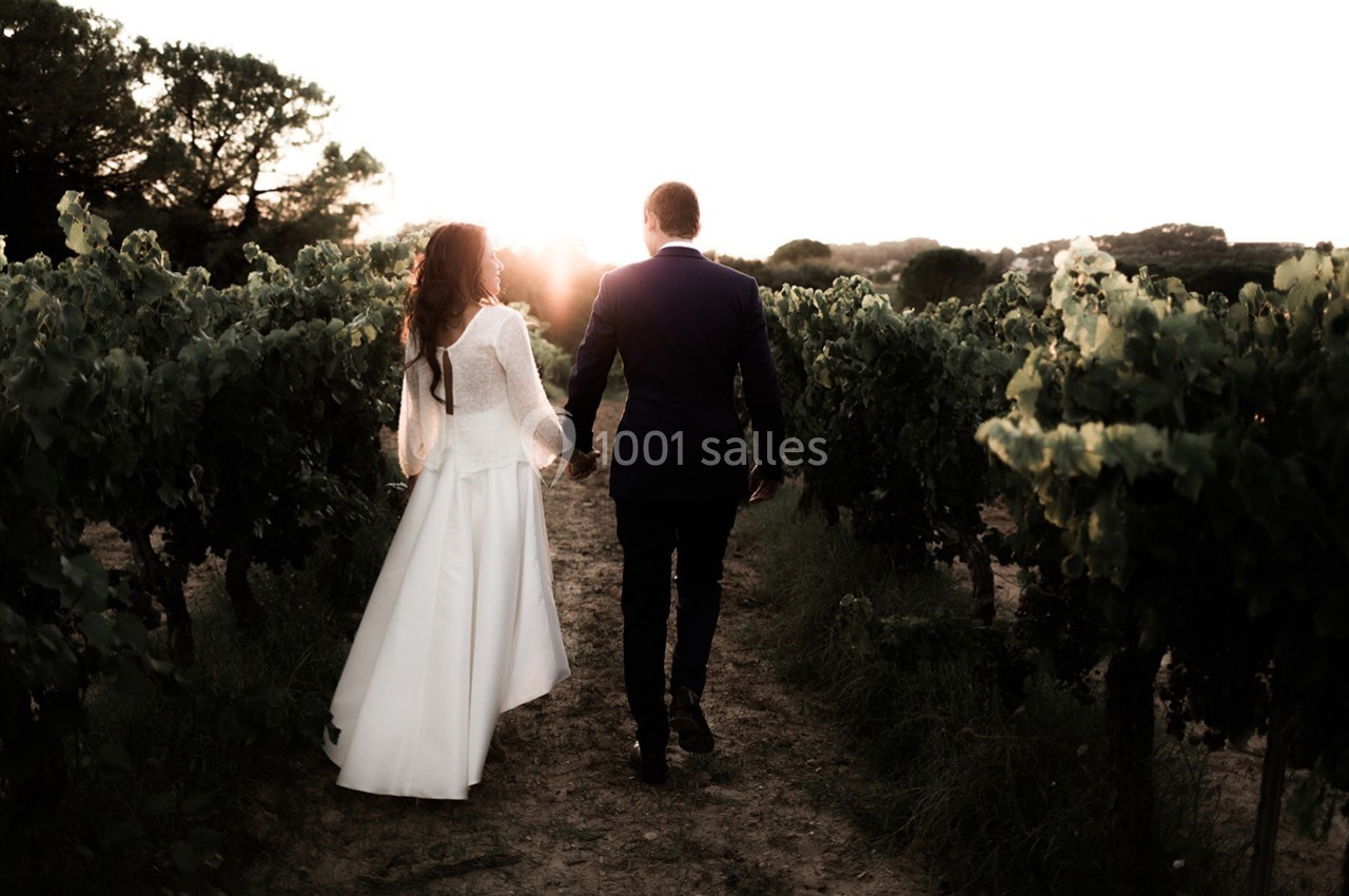 Un couple en tenue de mariage marche main dans la main dans un vignoble au coucher du soleil.