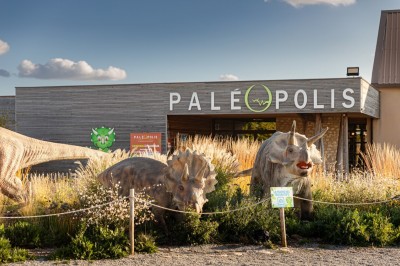 Miniature Location salle Gannat (Allier) - Paléopolis #2 Reproduction de dinosaures dans un parc, avec un parasaurolophus au premier plan et un brachiosaure en arrière-plan.