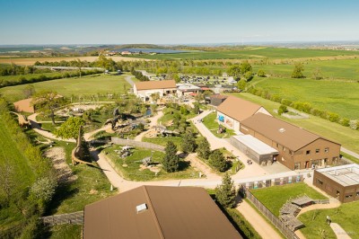Miniature Location salle Gannat (Allier) - Paléopolis #1 Reproduction de dinosaures dans un parc, avec un parasaurolophus au premier plan et un brachiosaure en arrière-plan.