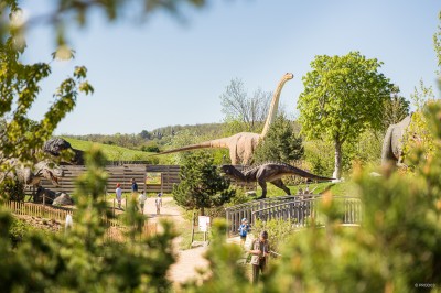 Miniature Location salle Gannat (Allier) - Paléopolis #16 Reproduction lumineuse d'un dinosaure près d'un étang éclairé, entouré de végétation et de lumières colorées.
