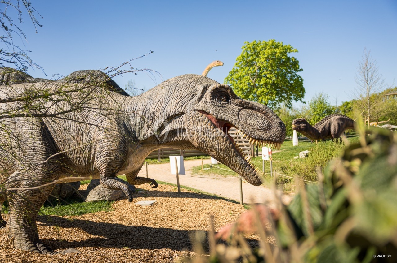 Statues de dinosaures réalistes dans un parc extérieur, entourées de végétation et sous un ciel bleu.