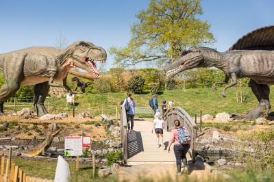 Miniature Location salle Gannat (Allier) - Paléopolis #18 Reproduction lumineuse d'un dinosaure près d'un étang éclairé, entouré de végétation et de lumières colorées.