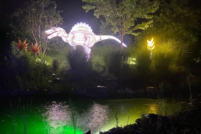 Miniature Location salle Gannat (Allier) - Paléopolis #20 Reproduction lumineuse d'un dinosaure près d'un étang éclairé, entouré de végétation et de lumières colorées.