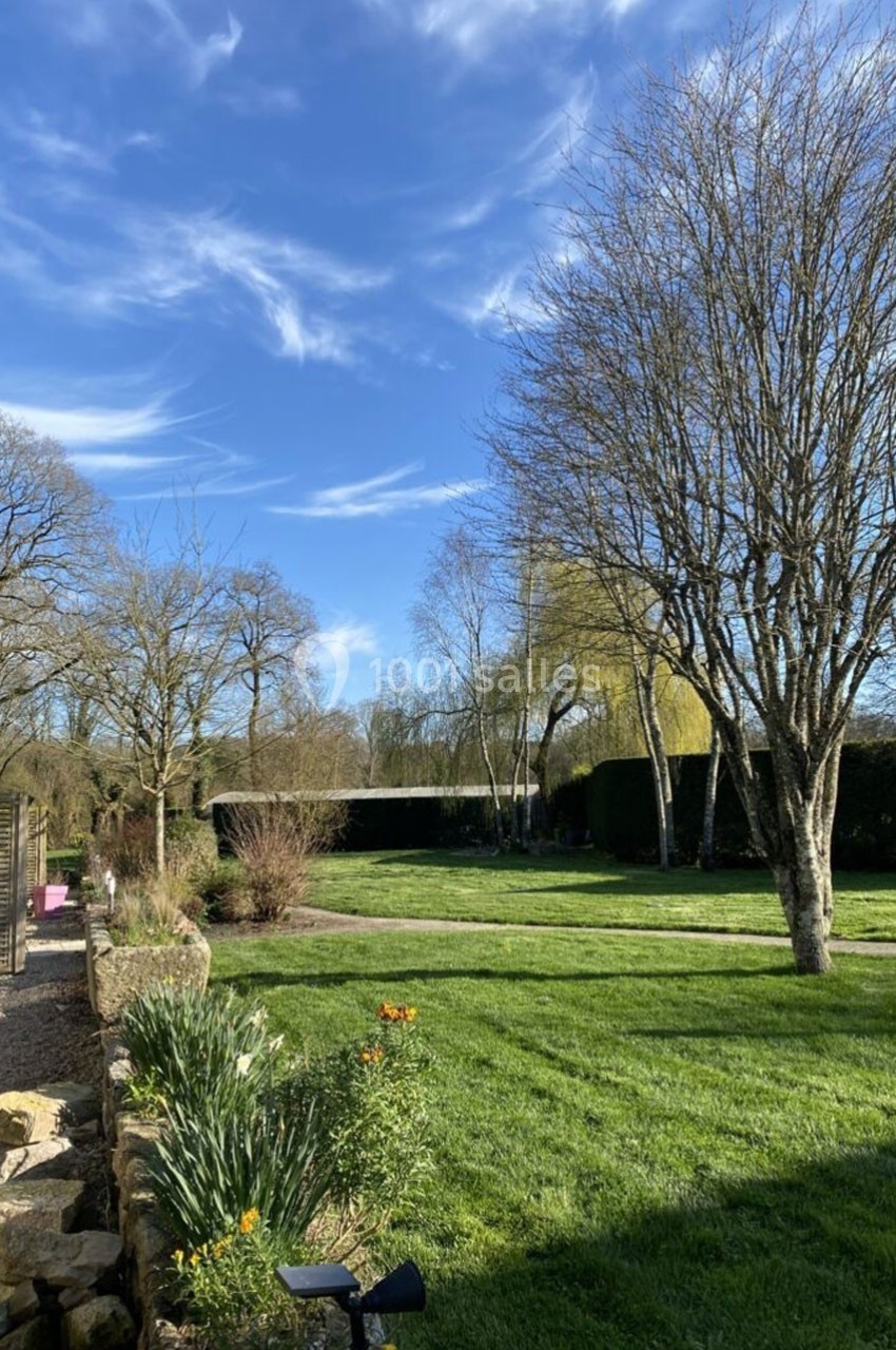 Jardin verdoyant avec pelouse, arbres dénudés, fleurs printanières et ciel bleu parsemé de nuages légers.