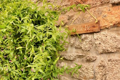 Cuisine professionnelle avec équipements en acier inoxydable, comprenant un four, des étagères et des plans de travail.