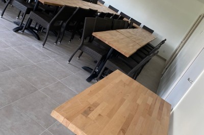 Jardin verdoyant avec pelouse, arbres dénudés, fleurs printanières et ciel bleu parsemé de nuages légers.