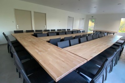 Jardin verdoyant avec pelouse, arbres dénudés, fleurs printanières et ciel bleu parsemé de nuages légers.