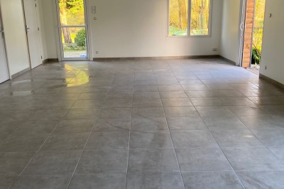 Jardin verdoyant avec pelouse, arbres dénudés, fleurs printanières et ciel bleu parsemé de nuages légers.