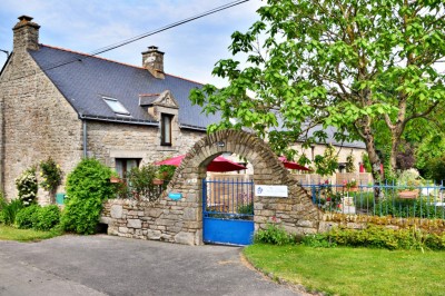 Jardin verdoyant avec pelouse, arbres dénudés, fleurs printanières et ciel bleu parsemé de nuages légers.
