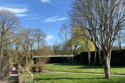 Jardin verdoyant avec pelouse, arbres dénudés, fleurs printanières et ciel bleu parsemé de nuages légers.