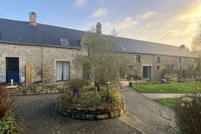 Jardin verdoyant avec pelouse, arbres dénudés, fleurs printanières et ciel bleu parsemé de nuages légers.