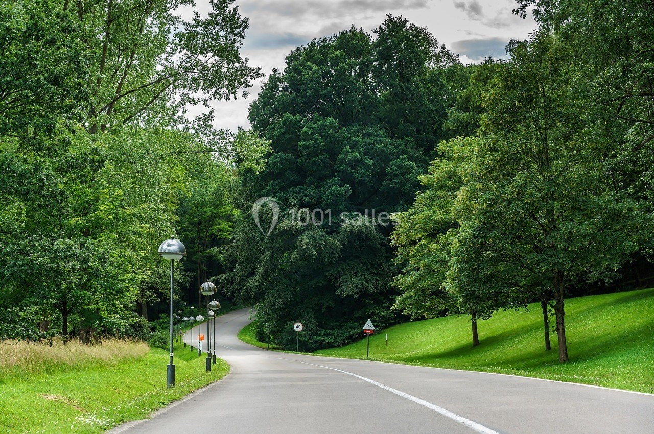 Route sinueuse bordée d'arbres et de lampadaires dans un parc verdoyant sous un ciel partiellement nuageux.