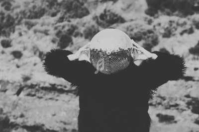 Personne portant une boule disco sur la tête, vêtue d'une veste noire et d'un short rayé, dans un paysage désertique.