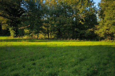Salle vide avec sol carrelé blanc, murs décorés de bois, miroirs et portes vitrées donnant sur l'extérieur.