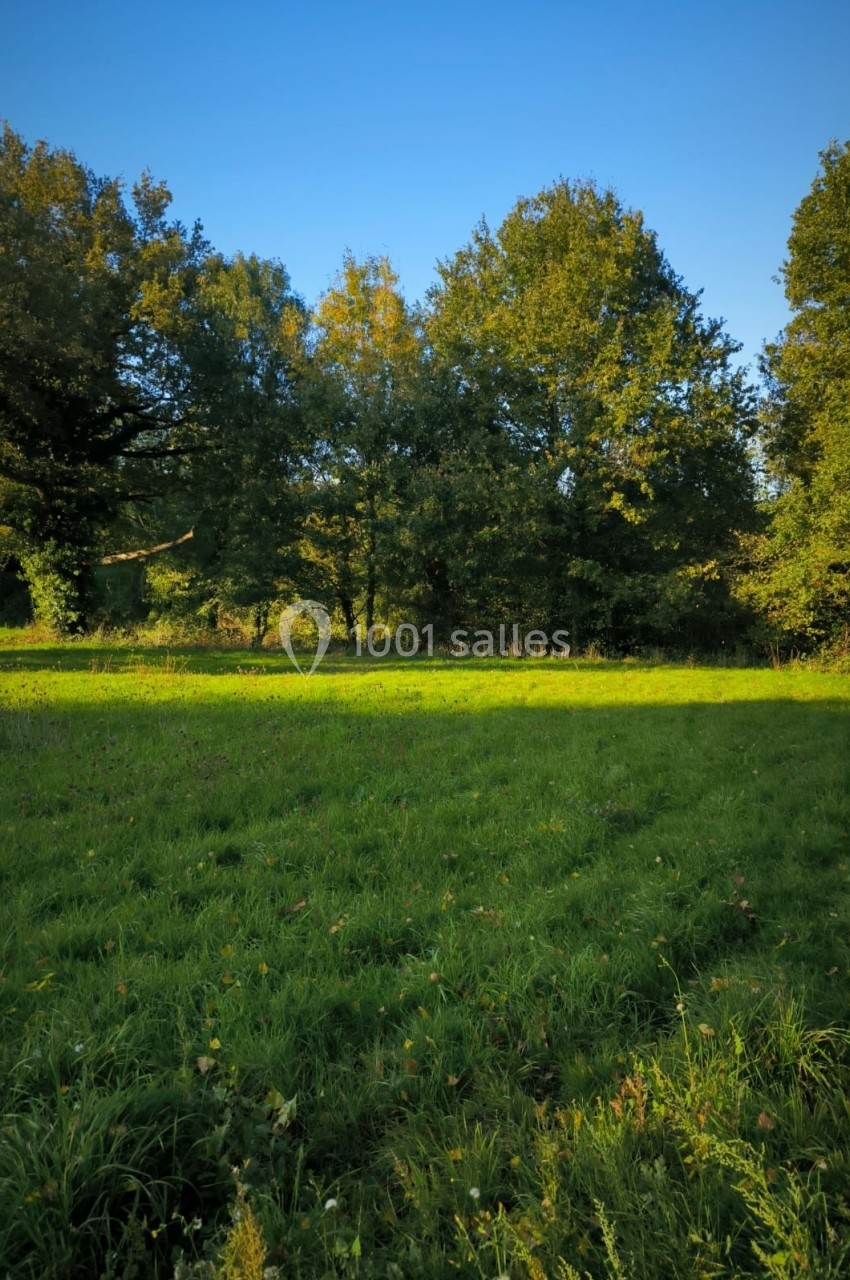 Prairie verdoyante bordée d'arbres sous un ciel bleu clair ensoleillé.