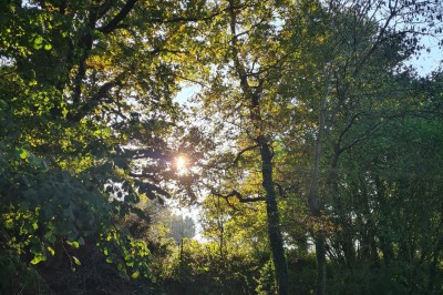 Salle vide avec sol carrelé blanc, murs décorés de bois, miroirs et portes vitrées donnant sur l'extérieur.