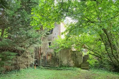 Salle vide avec sol carrelé blanc, murs décorés de bois, miroirs et portes vitrées donnant sur l'extérieur.