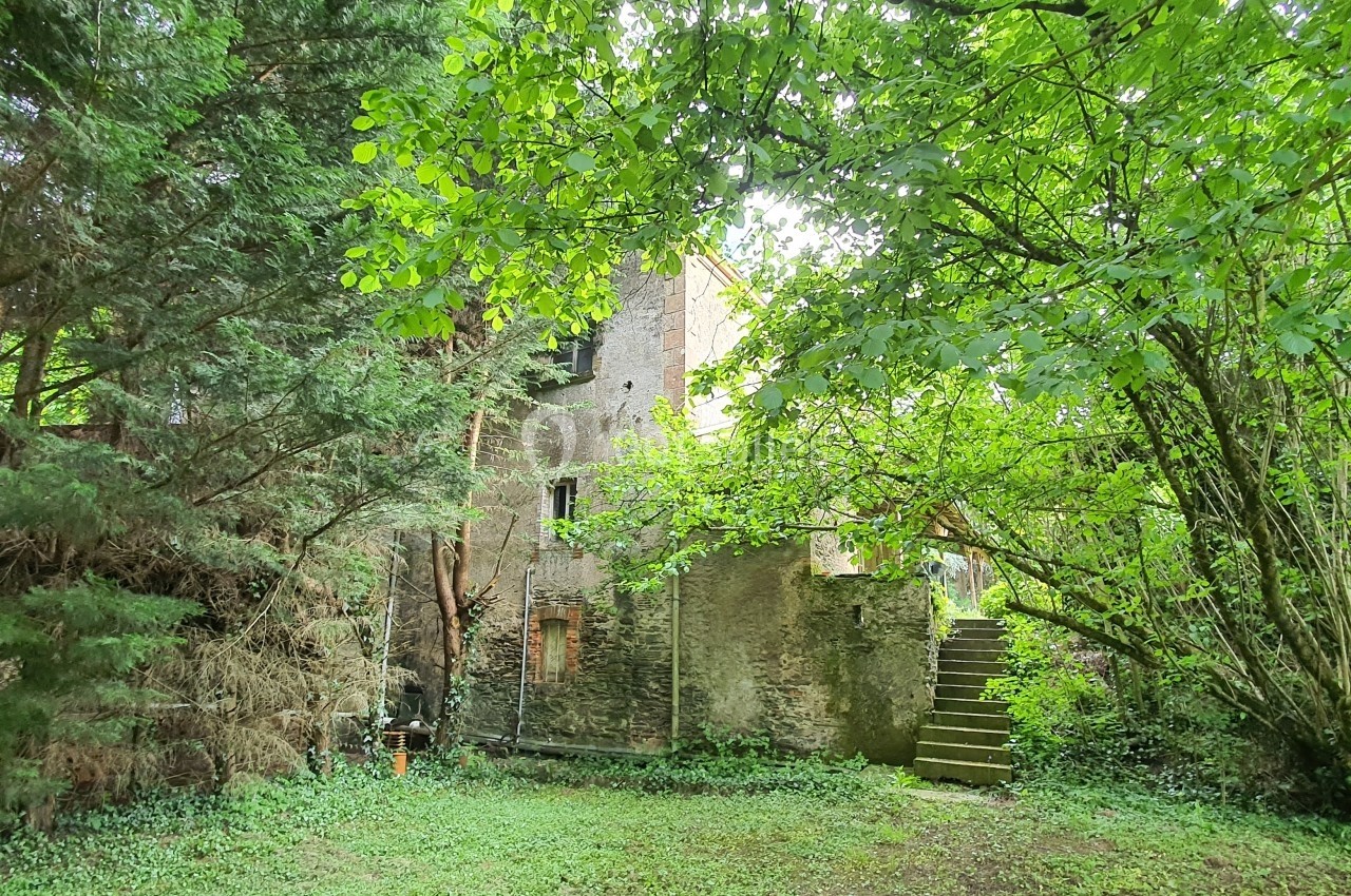 Ruines d'un bâtiment en pierre entourées de végétation dense, avec un escalier extérieur visible.