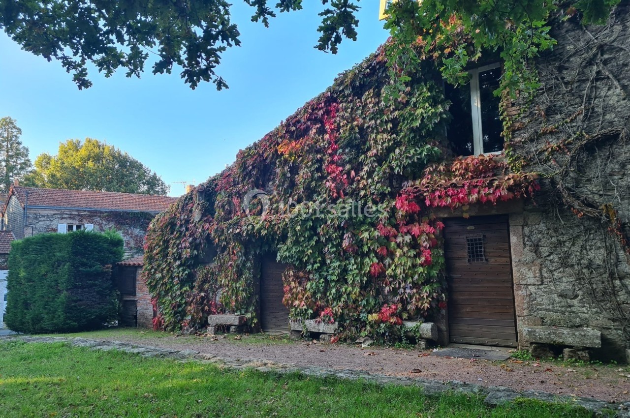 Façade en pierre recouverte de vigne vierge aux teintes automnales, avec bancs en pierre et arbres environnants.