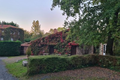 Salle vide avec sol carrelé blanc, murs décorés de bois, miroirs et portes vitrées donnant sur l'extérieur.