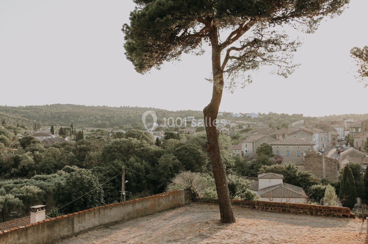 Vue d'un village provençal entouré de collines verdoyantes, avec un grand pin au premier plan.