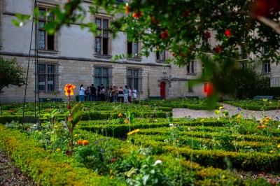 Photo Booster2success #7