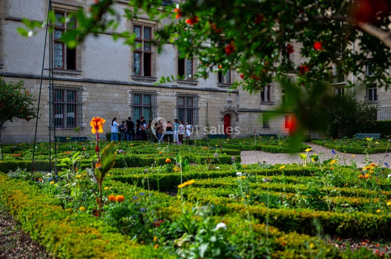 Photo Booster2success #5