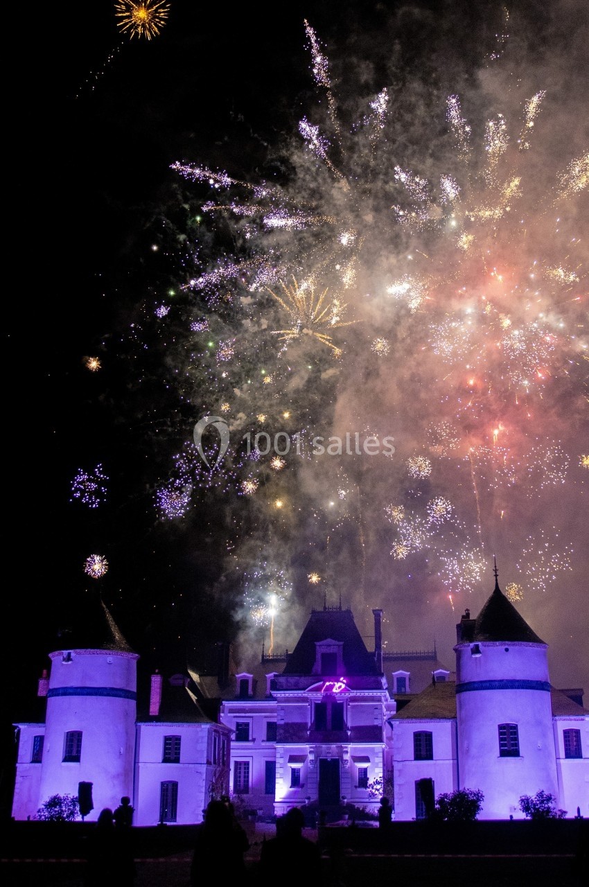 Feu d'artifice illuminant un château éclairé en violet dans la nuit, avec des spectateurs en ombre au premier plan.