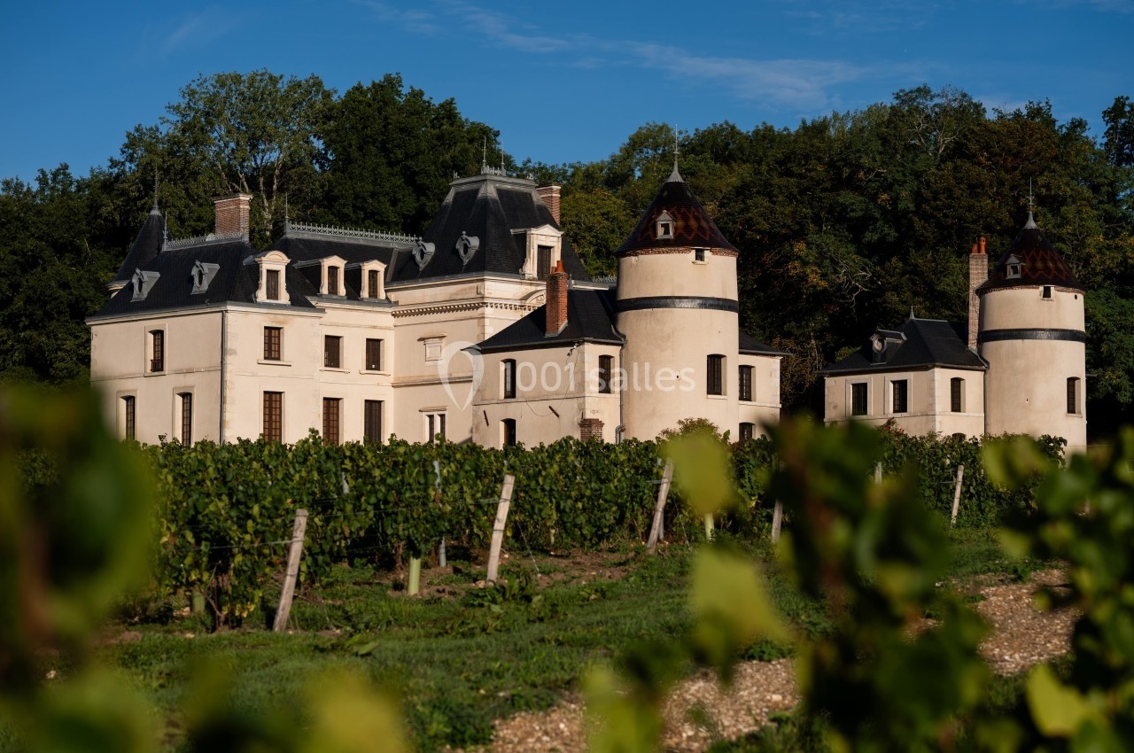Château entouré de vignes verdoyantes sous un ciel bleu, bordé par une forêt en arrière-plan.