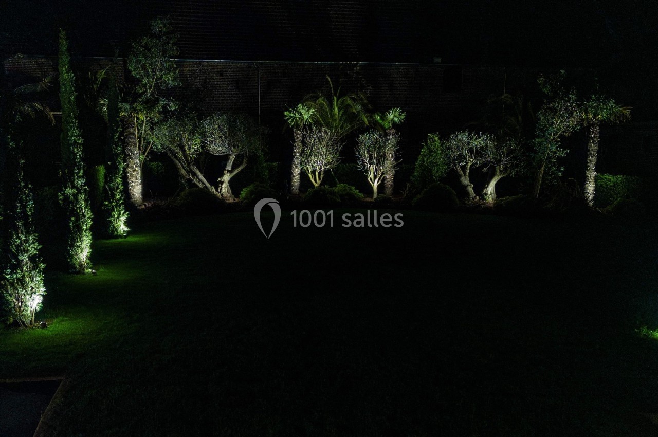 Jardin nocturne éclairé mettant en valeur des arbres et des arbustes avec des lumières directionnelles.