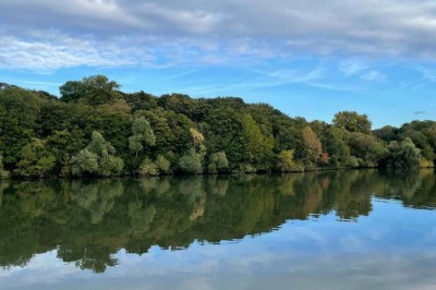 Sanitaires modernes avec cabines fermées, lavabo, murs en carrelage clair et lumière naturelle provenant d'une fenêtre et d…