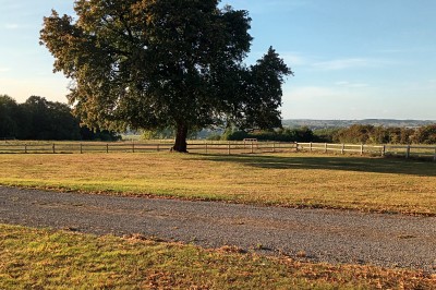 Allée bordée d'arbres enneigés vue depuis l'intérieur d'une voiture, avec un chemin partiellement dégagé.