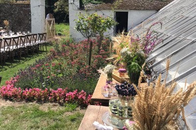 Allée bordée d'arbres enneigés vue depuis l'intérieur d'une voiture, avec un chemin partiellement dégagé.