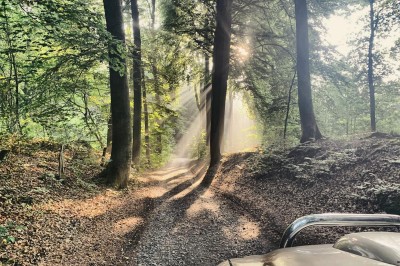 Allée bordée d'arbres enneigés vue depuis l'intérieur d'une voiture, avec un chemin partiellement dégagé.