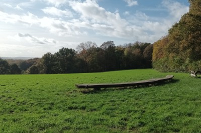 Allée bordée d'arbres enneigés vue depuis l'intérieur d'une voiture, avec un chemin partiellement dégagé.
