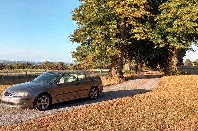Allée bordée d'arbres enneigés vue depuis l'intérieur d'une voiture, avec un chemin partiellement dégagé.
