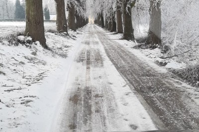 Allée bordée d'arbres enneigés vue depuis l'intérieur d'une voiture, avec un chemin partiellement dégagé.