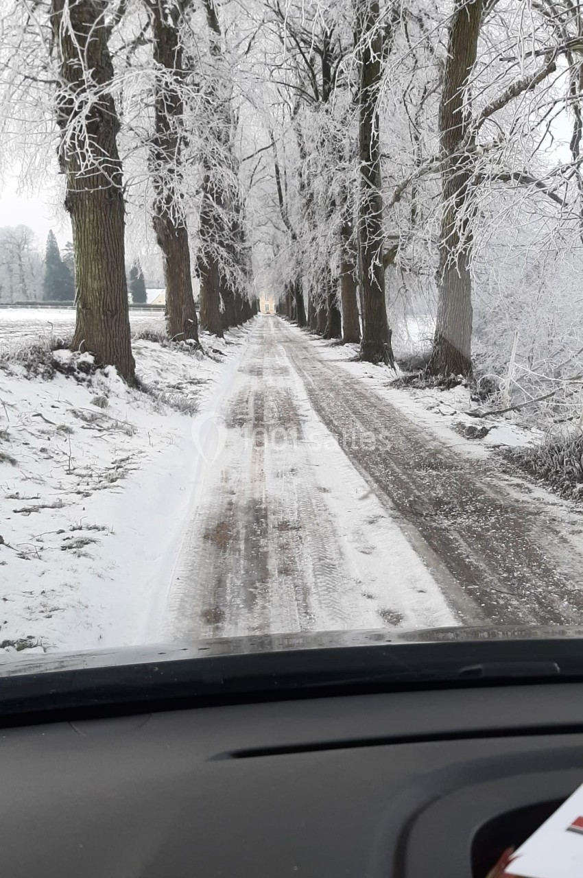 Allée bordée d'arbres enneigés vue depuis l'intérieur d'une voiture, avec un chemin partiellement dégagé.